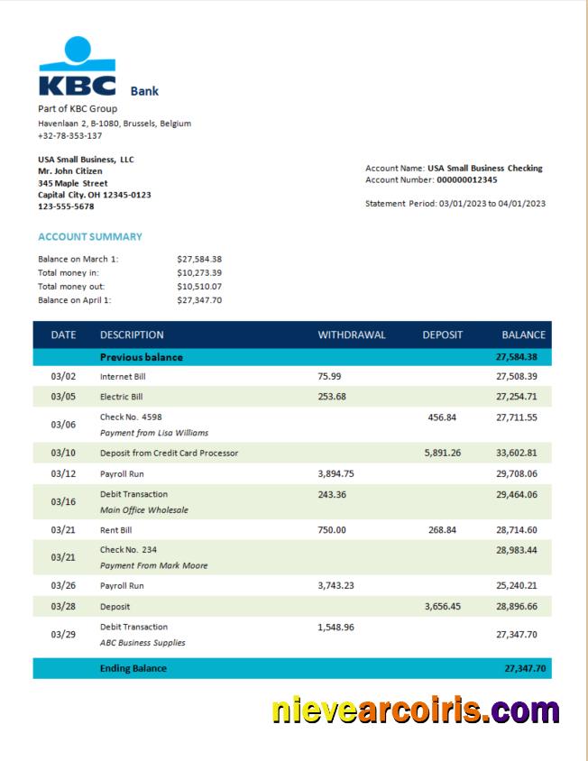 KBC Bank corporate account statement